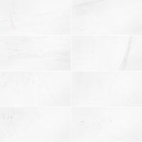 Thassos White Classic Marble 12x24