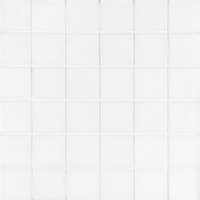 Thassos White Marble 2" X 2" Square