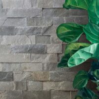 Argento Quartzite 4XFree Length Veneer