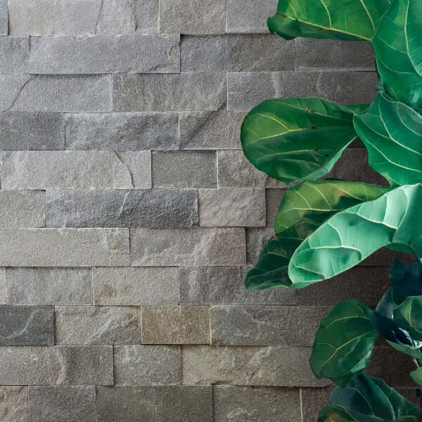 Argento Quartzite 4XFree Length Veneer