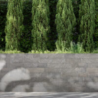 Argento Quartzite 8XFree Length Veneer