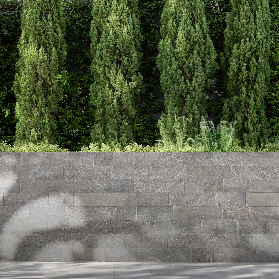 Argento Quartzite 8XFree Length Veneer