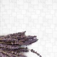 Thassos White Marble Mini Versailles