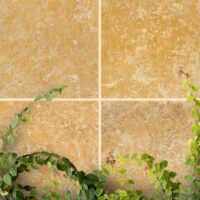Golden Siena Travertine 18x18 Filled/ Honed