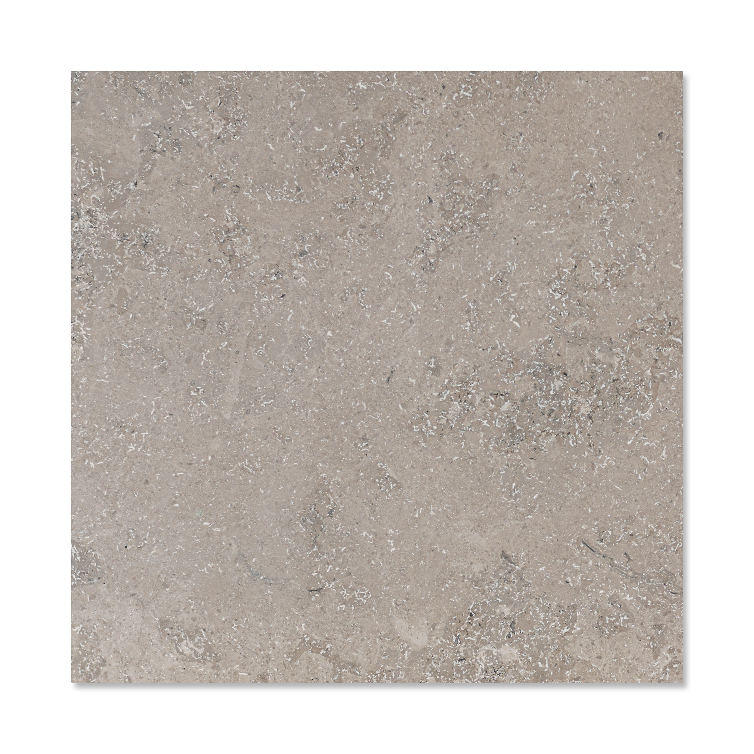 Jura Grey Limestone 24x24