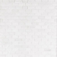 Thassos White Marble 5/8" X 1-1/4" Brick