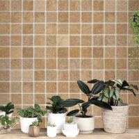 Noce Premium Travertine 2" X 2" Square Tumbled