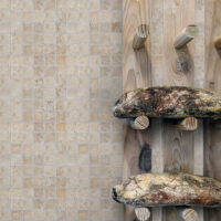 Walnut Travertine 2" X 2" Square Tumbled