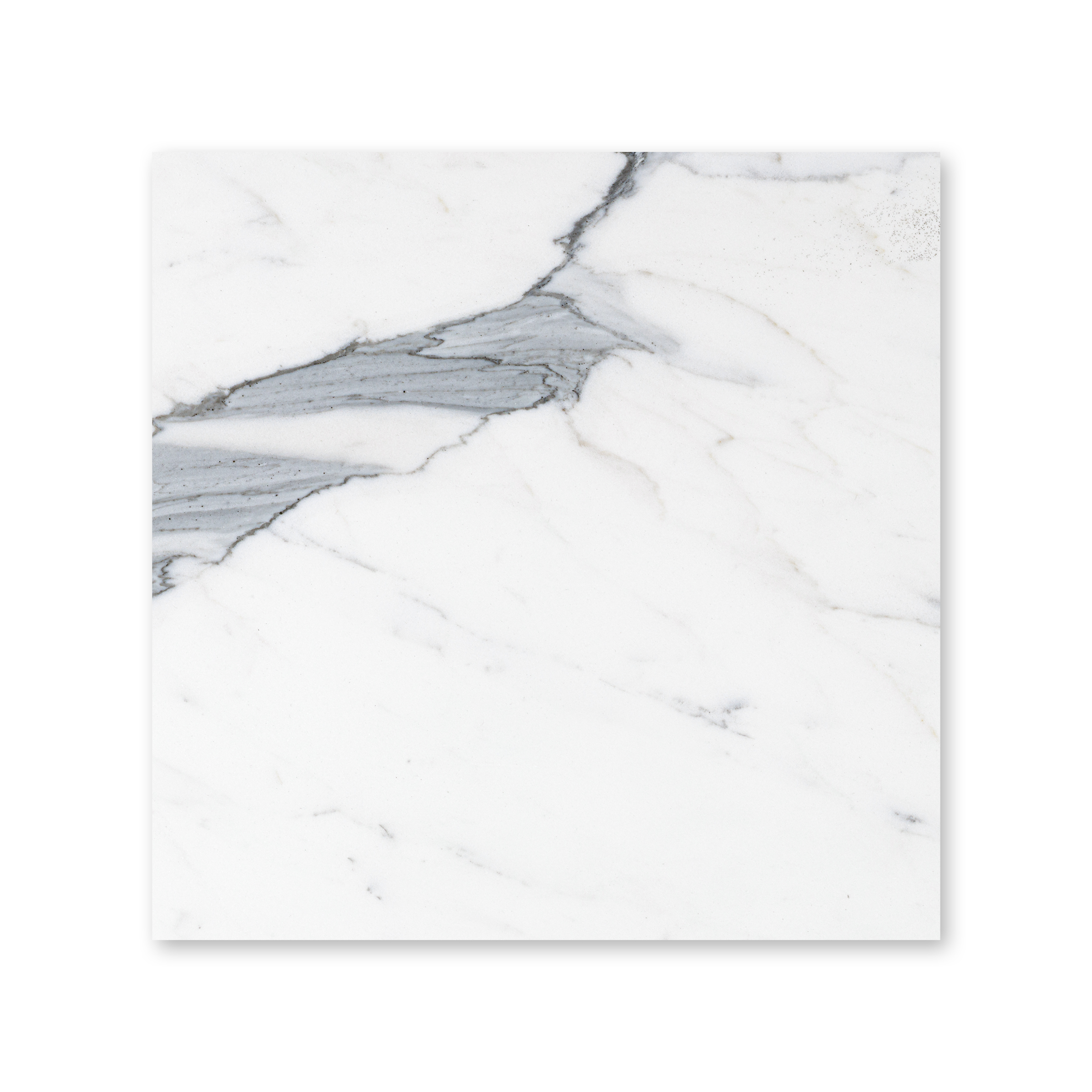 Calacatta Gold Marble 12x12