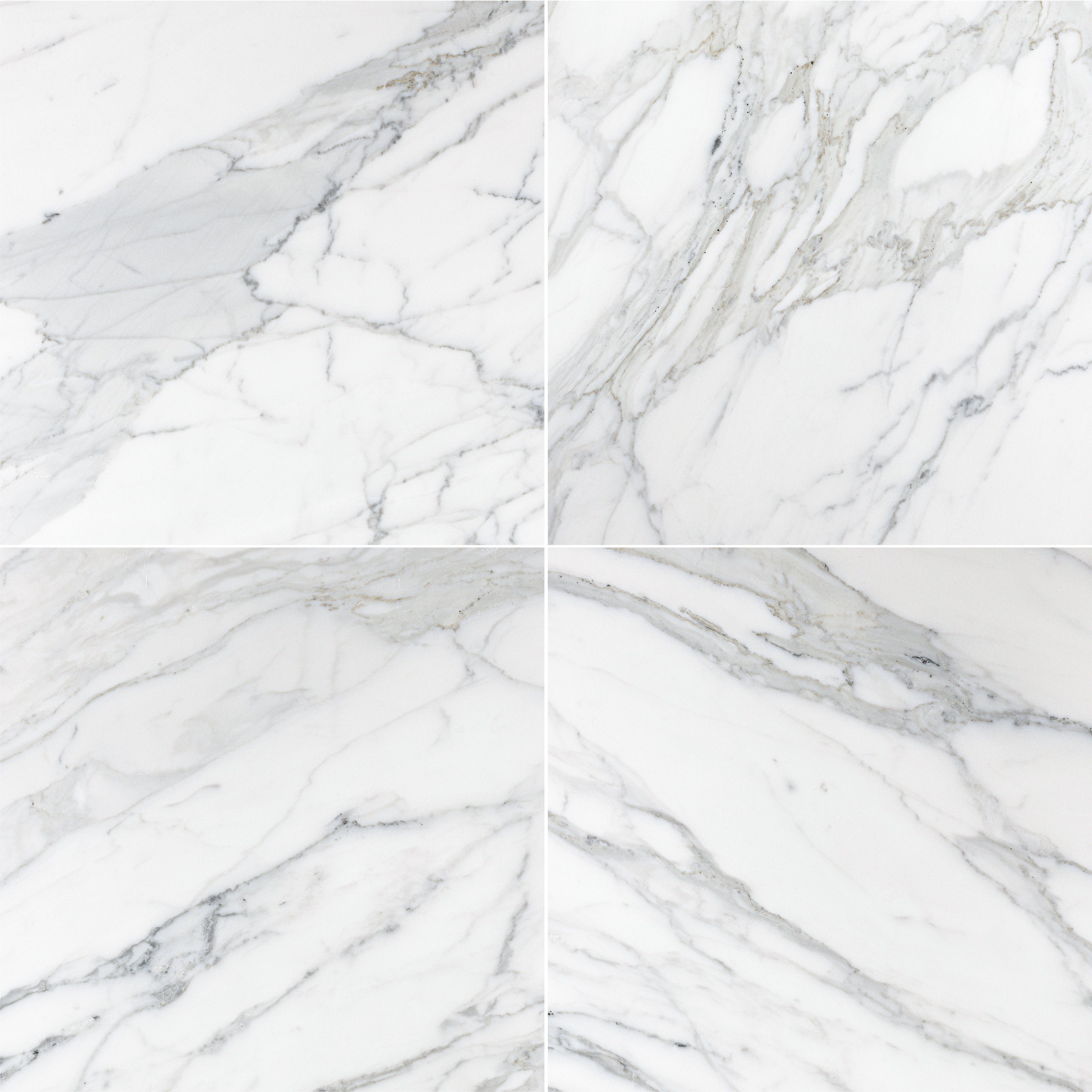 Calacatta Gold Marble 18x18