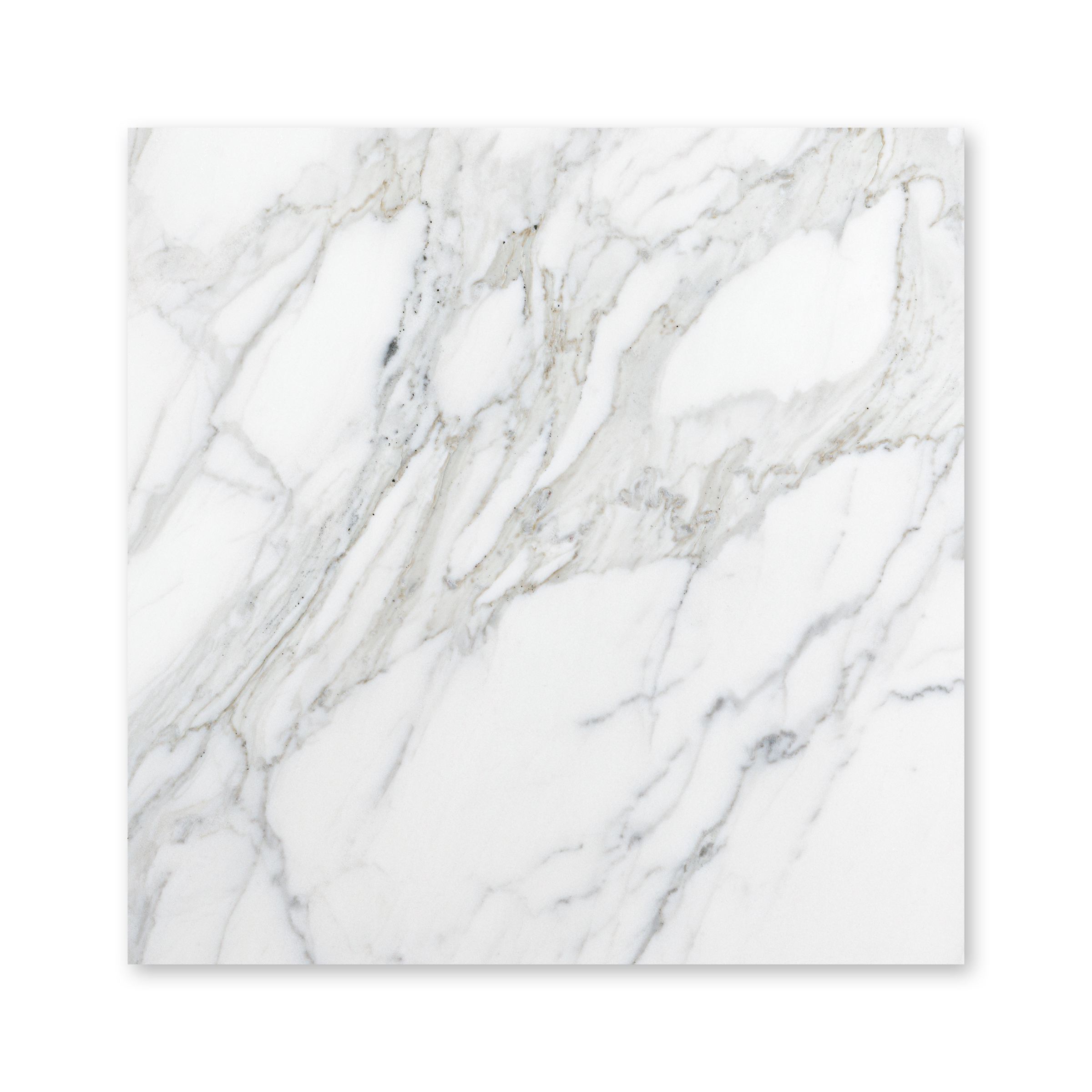 Calacatta Gold Marble 18x18
