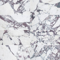 Calacatta Viola Marble 12x24