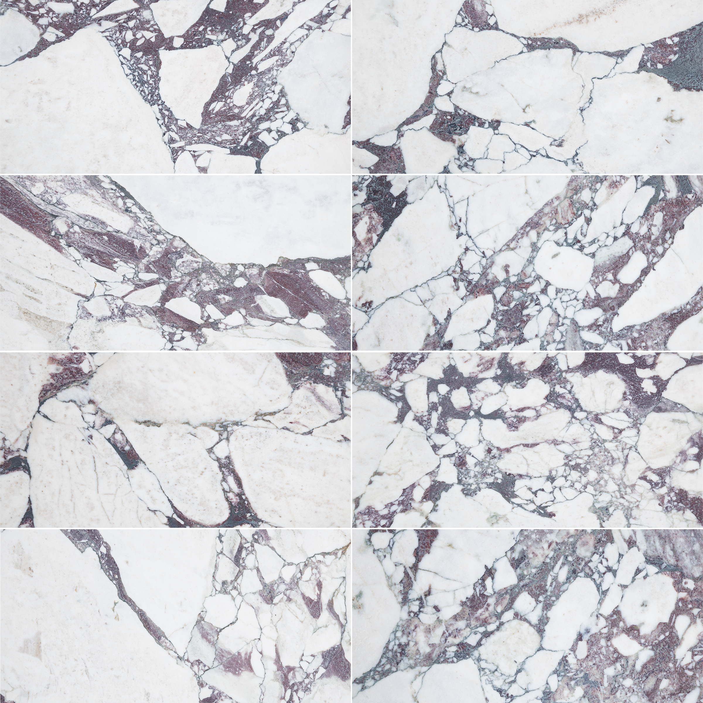 Calacatta Viola Marble 12x24