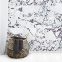 Calacatta Viola Marble 12x24 Honed
