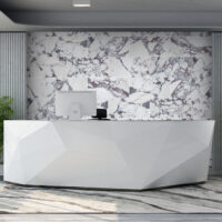 Calacatta Viola Marble 12x24 Honed