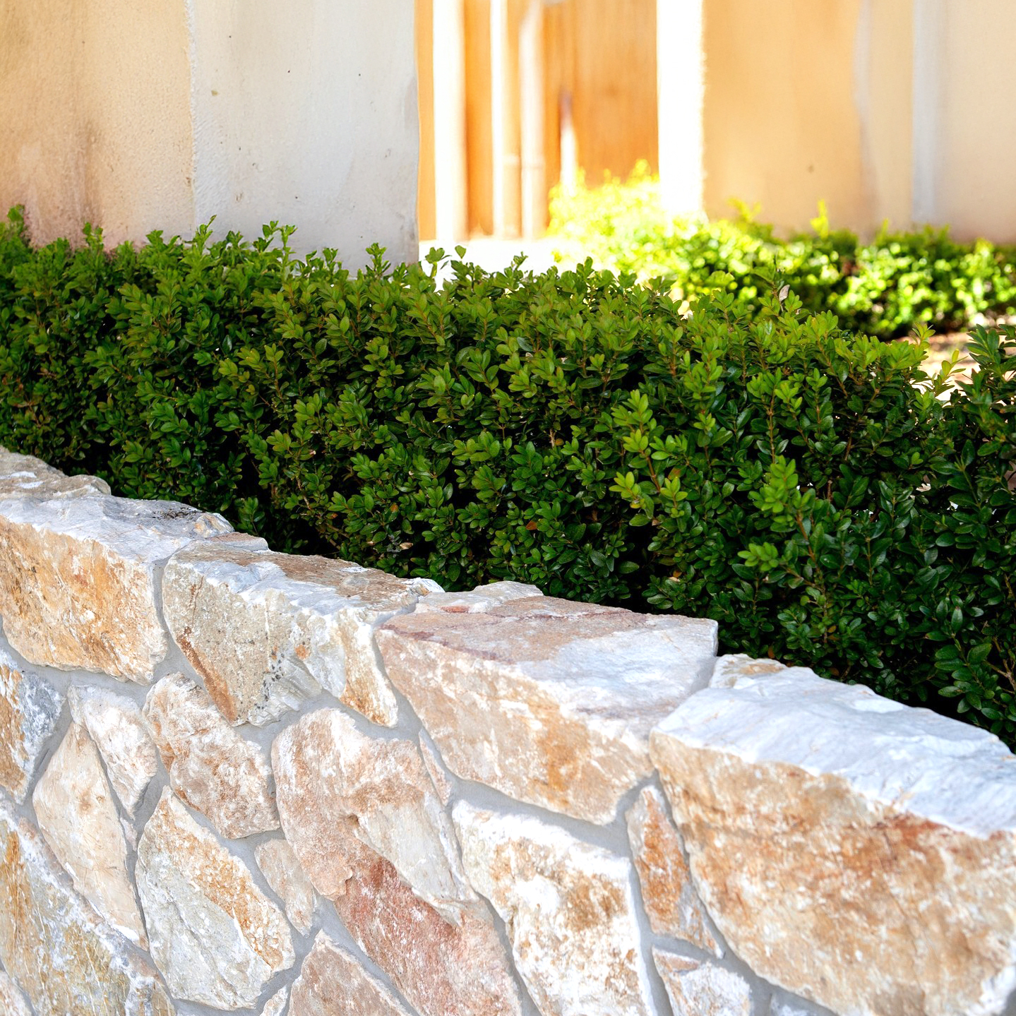 Honey Gold Limestone Thin Veneer