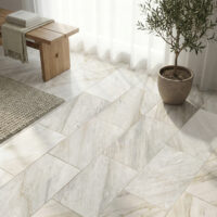 Ajax Gold Marble 12x24 Honed
