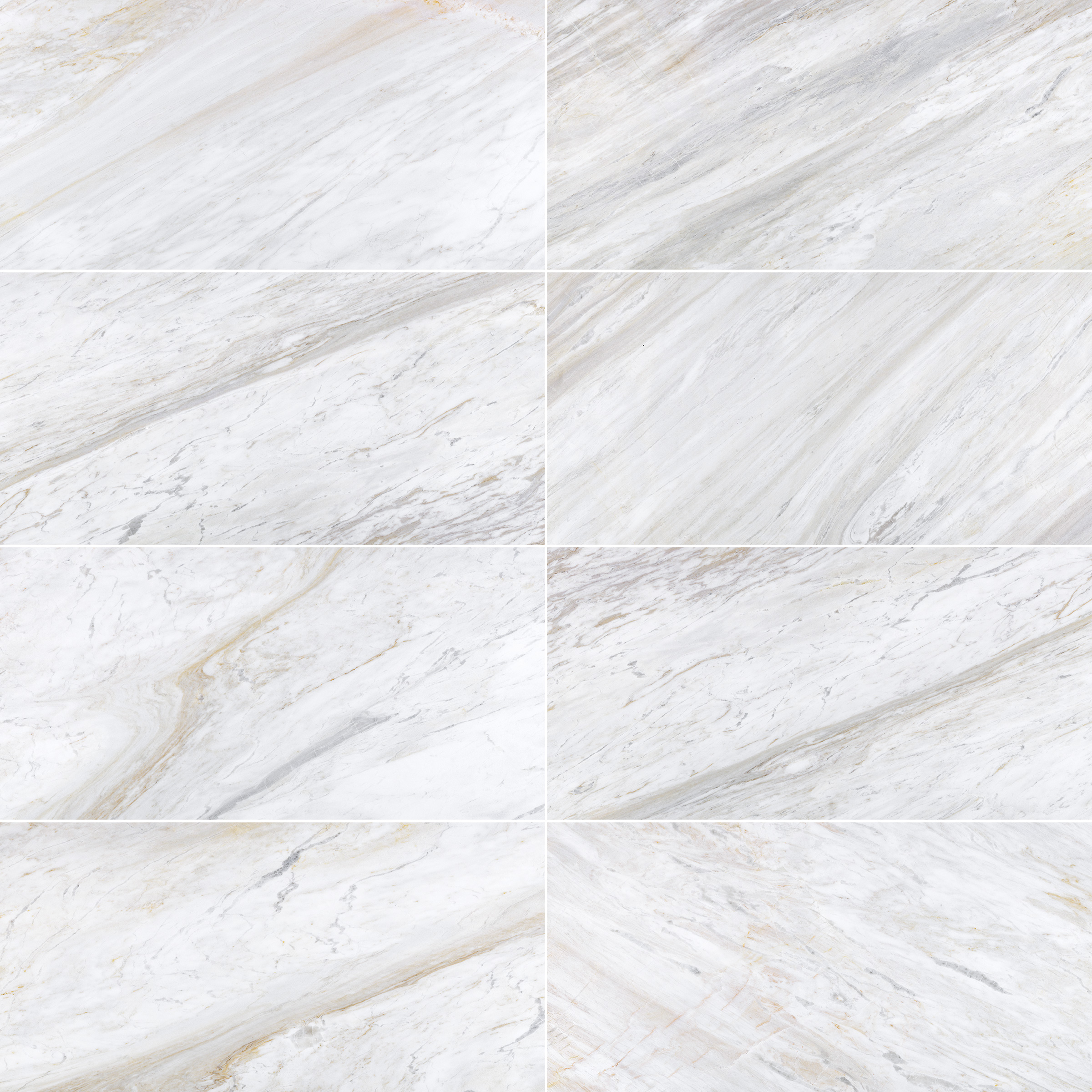 Ajax Gold Marble 12x24 Honed