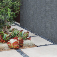 Lime Black Limestone 2x8 Tumbled