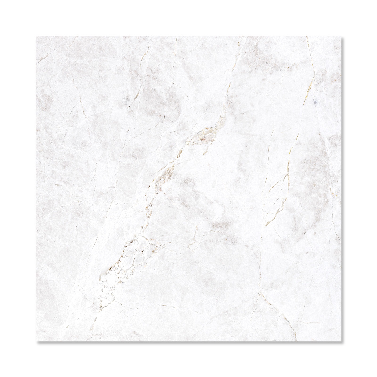 Botticino Turkish Marble 24x24