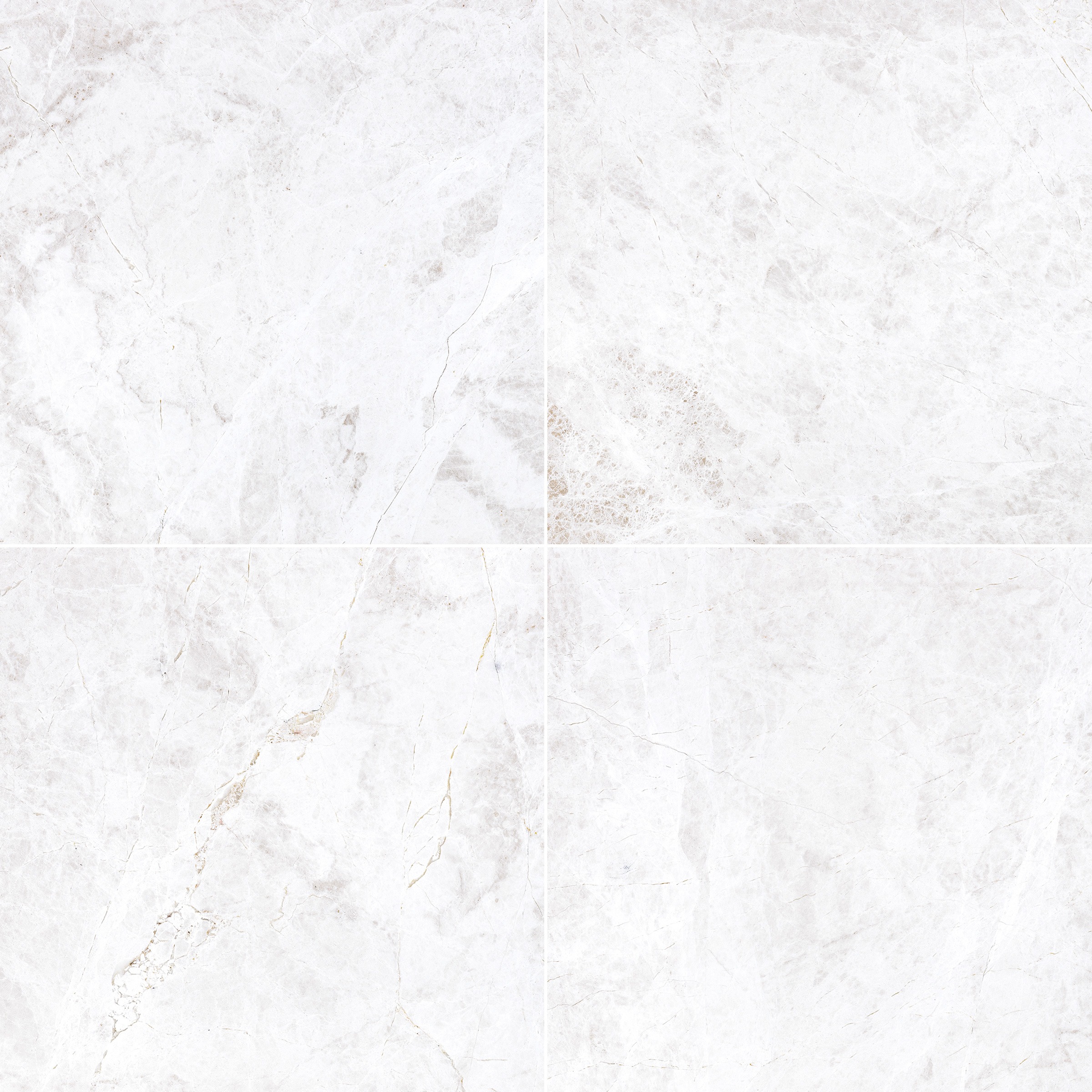 Botticino Turkish Marble 24x24
