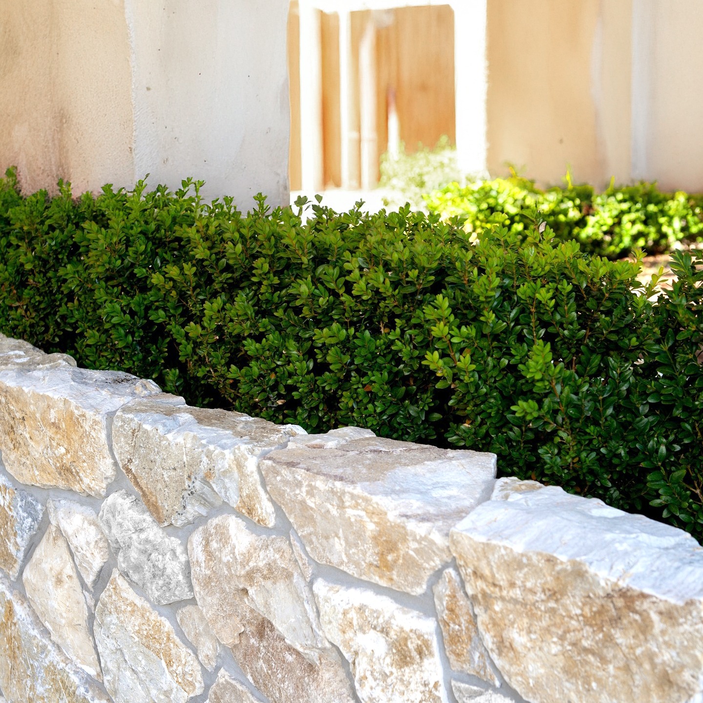 Honey Gold Limestone Thin Veneer